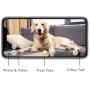 Furbo Dog Camera: Treat Tossing, Full HD Wifi Pet Camera and 2-Way Audio, Designe