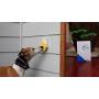 Pebble Smart Doggie Doorbell