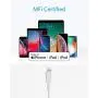 Anker USB C to Lightning Cable, iPhone 11 Charger [6ft Apple MFi Certified] Powerline II for iPhone SE / 11 Pro/X/XS/XR / 8 Plus/AirPods Pro, Supports Power Delivery