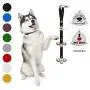 Caldwells Pet Supply Co. Potty Bells Housetraining Dog Doorbells for Dog Training and Housebreaking Your Doggy. 1.4 Inch Dog Bell with Doggie Doorbell and Potty Training for Puppies