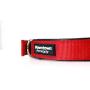 Downtown Pet Supply Deluxe Adjustable Thick Dog Collar, (Blue, Red, Black, Purple, Pink - Small, Medium, Large, or X-Large)