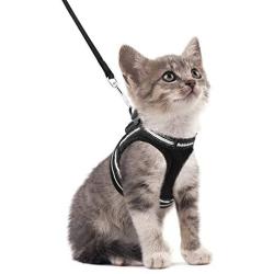 rabbitgoo Cat Harness and Leash Set for Walking Escape Proof, Adjustable Soft Kittens Vest with Reflective Strip for Extra Small and Small Cats, Step-in Comfortable Outdoor Vest