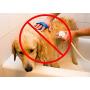Wondurdog Quality at Home Dog Wash Kit for Shower | Water Sprayer Brush & Rubber Shield | Wash Your Pet and Dont Get Wet | Shield Water from Dogs Ears, Eyes and Yourself!