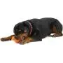West Paw Zogoflex Tux Treat Dispensing Dog Chew Toy – Interactive Chewing Toys for Dogs – Dog Games for Aggressive Chewers, Fetch, Catch – Holds Kibble, Treats, Made in USA