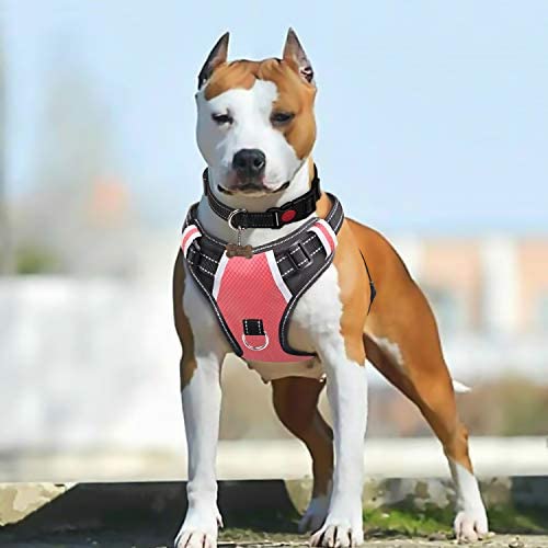 BABYLTRL Big Dog Harness No Pull Adjustable Pet Reflective Oxford Soft Vest for Large Dogs Easy Control Harness BABYLTRL Big Dog Harness No Pull Adjustable Pet Reflective Oxford Soft Vest for Large Dogs Easy Control Harness