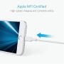 Anker Powerline II Lightning Cable (1ft), Probably The Worlds Most Durable Cable, MFi Certified for iPhone Xs/XS Max/XR/X / 8/8 Plus / 7/7 Plus / 6/6 Plus (White)
