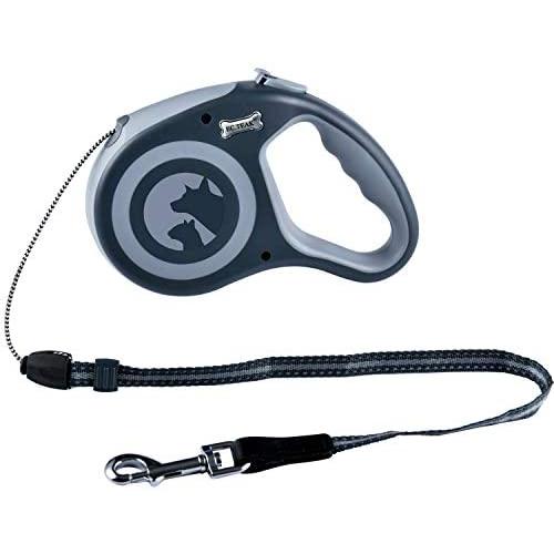 EC.TEAK Retractable Dog Leash, 26 Feet Dog Walking Leash for Medium Large Dogs up to 77lbs, Heavy Duty No Tangle, Large