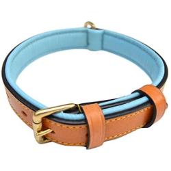 Soft Touch Collars - Luxury Real Leather Padded Dog Collar