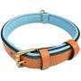 Soft Touch Collars - Luxury Real Leather Padded Dog Collar
