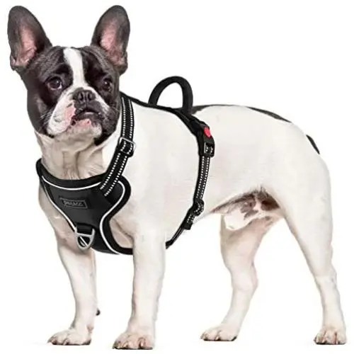 Petacc Dog Harness No-Pull Pet Harness Adjustable Pet Reflective Vest Dog Walking Harness with D-Ring Buckle and Handle for Small Medium Large Dogs Petacc Dog Harness No-Pull Pet Harness Adjustable Pet Reflective Vest Dog Walking Harness with D-Ring Buckle and Handle for Small Medium Large Dogs