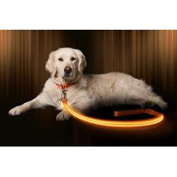 Illumiseen LED Dog Leash - USB Rechargeable - Available in 6 Colors & 2 Sizes - Makes Your Dog Visible, Safe & Seen