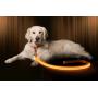 Illumiseen LED Dog Leash - USB Rechargeable - Available in 6 Colors & 2 Sizes - Makes Your Dog Visible, Safe & Seen