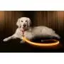Illumiseen LED Dog Leash - USB Rechargeable - Available in 6 Colors & 2 Sizes - Makes Your Dog Visible, Safe & Seen Illumiseen LED Dog Leash - USB Rechargeable - Available in 6 Colors & 2 Sizes - Makes Your Dog Visible, Safe & Seen