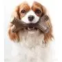 Benebone Maplestick/Bacon Stick Durable Dog Chew Toy for Aggressive Chewers, Made in USA Benebone Maplestick/Bacon Stick Durable Dog Chew Toy for Aggressive Chewers, Made in USA