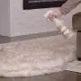 TriNova Natural Pet Stain and Odor Remover Eliminator - Advanced Enzyme Cleaner Spray - Remove Old & New Pet Stains & Smells for Dogs & Cats - All-Surface Safe TriNova Natural Pet Stain and Odor Remover Eliminator - Advanced Enzyme Cleaner Spray - Remove Old & New Pet Stains & Smells for Dogs & Cats - All-Surface Safe