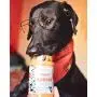 BUDDY BUDDER Bark Bistro Company, Ruff Ruff Raw + Pumpkin Pup, Dog Peanut Butter, Healthy Dog Treat, 100% Natural Dog Peanut Butter - Made in USA (Set of 2/ 16oz Jars) BUDDY BUDDER Bark Bistro Company, Ruff Ruff Raw + Pumpkin Pup, Dog Peanut Butter, Healthy Dog Treat, 100% Natural Dog Peanut Butter - Made in USA (Set of 2/ 16oz Jars)