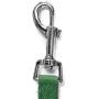 Downtown Pet Supply Dog Puppy Obedience Recall Training Agility Lead - Great for Training, Play, Camping, or Backyard (15ft, 20ft, 30ft, 50ft, 75ft, 100ft, 150ft, 200ft)