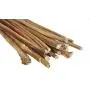 3, 6 and 12 Inch Junior Treats, All Natural Dog Bully Sticks (for Small Dogs and Puppies) Premium Dog Chew Treats - 12 Pack, 25 Pack, 40 Pack, 65 Pack, or 100 Pack 3, 6 and 12 Inch Junior Treats, All Natural Dog Bully Sticks (for Small Dogs and Puppies) Premium Dog Chew Treats - 12 Pack, 25 Pack, 40 Pack, 65 Pack, or 100 Pack