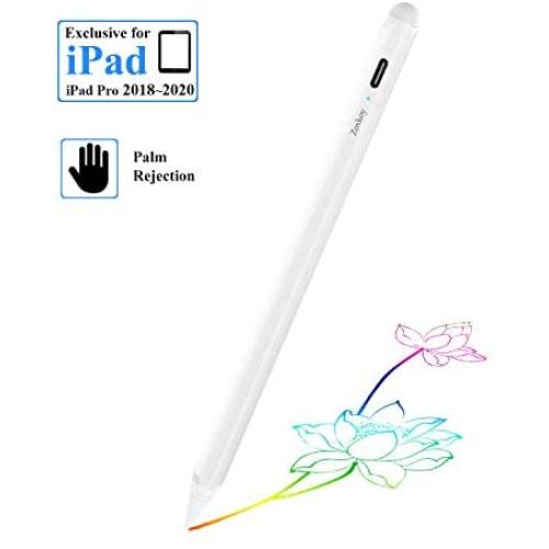 Stylus Pen for Apple iPad Pencil: Touch Pencil with Palm Rejection for Precise Writing & Drawing - Compatible with Apple iPad Pro 11/12.9 Inch iPad 6th/7th | iPad Mini 5th | iPad Air 3rd Gen