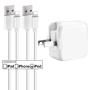 iPhone Charger iPad Charger,Baoota 2.4A 12W USB Wall Charger Foldable Portable Travel Plug and 2 Pack 8 Pin Charging Cable Compatible with iPhone,iPad