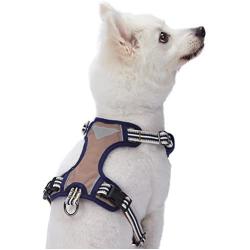 Blueberry Pet 15+ Colors Safe & Comfy Reflective Multi-Colored Stripe Collection - Collars, Harnesses, Leashes, Seatbelts for Dogs, Matching Lanyards for Pet Lovers