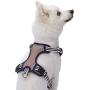 Blueberry Pet 15+ Colors Safe & Comfy Reflective Multi-Colored Stripe Collection - Collars, Harnesses, Leashes, Seatbelts for Dogs, Matching Lanyards for Pet Lovers