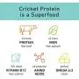 Jiminys Cricket Protein Peanut Butter & Blueberry Cricket Cookie Treats | 100% Made in The USA | Gluten-Free | Sustainable | Limited Ingredients | High Protein | Hypoallergenic