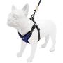Voyager Step-In Flex Dog Harness - All Weather Mesh, Step In Adjustable Harness for Small and Medium Dogs by Best Pet Supplies