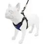 Voyager Step-In Flex Dog Harness - All Weather Mesh, Step In Adjustable Harness for Small and Medium Dogs by Best Pet Supplies Voyager Step-In Flex Dog Harness - All Weather Mesh, Step In Adjustable Harness for Small and Medium Dogs by Best Pet Supplies