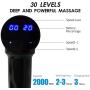 PRACMANU 30 Speeds Led Muscle Massage Gun Handheld Electric Body Massager Gun Tool Machine Vibration Cordless for Athletes