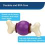 PetSafe Busy Buddy Bouncy Bone, Treat Holding Dog Toy, Small, Medium, Medium/Large and Large Sizes