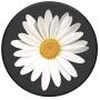 PopSockets: PopGrip with Swappable Top for Phones and Tablets - White Daisy