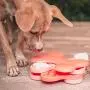 Nina Ottosson By Outward Hound - Interactive Puzzle Game Dog Toys Nina Ottosson By Outward Hound - Interactive Puzzle Game Dog Toys