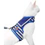 Escape Proof Cat Harness with Leash, Adjustable Cat Walking Jackets, Padded Cat Vest