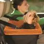 Kurgo Rover Booster Dog Car Seat with Seat Belt Tether Kurgo Rover Booster Dog Car Seat with Seat Belt Tether