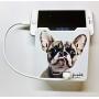 Glamsockets Decorative Wall Mount Surge Protector with 3 Outlets, Dual USB Charging Ports and Phone Holder - USB Charging Center/Multi Function Wall Tap (Glamdog Maurice)