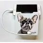 Glamsockets Decorative Wall Mount Surge Protector with 3 Outlets, Dual USB Charging Ports and Phone Holder - USB Charging Center/Multi Function Wall Tap (Glamdog Maurice) Glamsockets Decorative Wall Mount Surge Protector with 3 Outlets, Dual USB Charging Ports and Phone Holder - USB Charging Center/Multi Function Wall Tap (Glamdog Maurice)