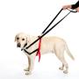 Halti Training Lead for Dogs Halti Training Lead for Dogs