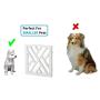 Zoogamo 3 Panel White Wood Crisscross Top Dog Pet Gate - Durable Lightweight Extra Wide Wooden Expandable & Folding Home/Indoor/Outdoor 45" W x 19" H Dog Safety Fence