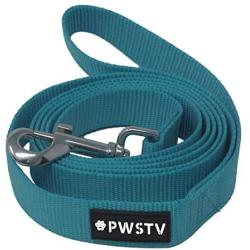 PWSTV by The Pawsitive Co. Dog Collar and Leash Collection - Dog Collars and Dog Leashes (Each Sold Seperately)