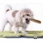 Downtown Pet Supply Himalayan Yak Dog Chew, 100% Natural Dog Chews for Small, Medium, and Large Dogs: Mixed Packs, Variety of Sizes Downtown Pet Supply Himalayan Yak Dog Chew, 100% Natural Dog Chews for Small, Medium, and Large Dogs: Mixed Packs, Variety of Sizes