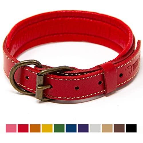 Logical Leather Padded Dog Collar - Best Full Grain Heavy Duty Genuine Leather Collars
