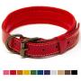 Logical Leather Padded Dog Collar - Best Full Grain Heavy Duty Genuine Leather Collars