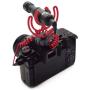 Rode VideoMicro Compact On-Camera Microphone with Rycote Lyre Shock Mount