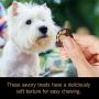 Cesar Softies Dog Treats
