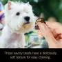 Cesar Softies Dog Treats Cesar Softies Dog Treats