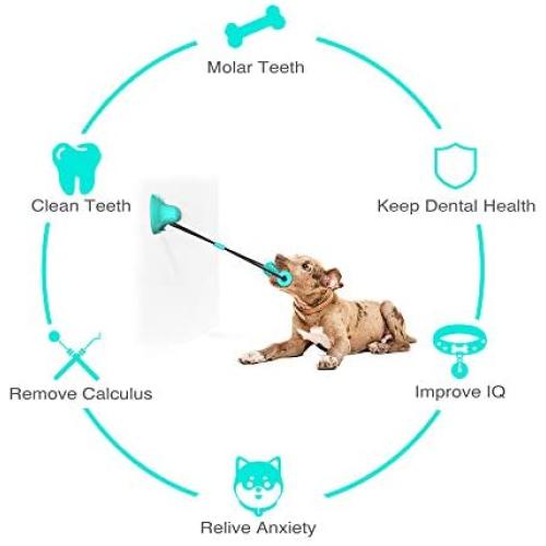 3T6B Pet Molar Bite Toy Suction Cup Dog Toy for Aggressive Chewers, Dog Rope Toys Teeth Cleaning Molar Stick,Blue Double Suction Cup，Used for Tug-of-war,Tooth Cleaning and Behavior Training