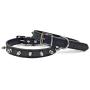 Enjoying Spiked Dog Collar Pet Leather Collars Puppy Collar