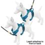 Voyager Dual Attachment Outdoor Dog Harness by Best Pet Supplies | NO-Pull Pet Walking Vest Harness