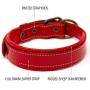 Logical Leather Padded Dog Collar - Best Full Grain Heavy Duty Genuine Leather Collars